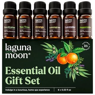 A dark green box of essential oils, with six essential oil bottles lined up on top. 