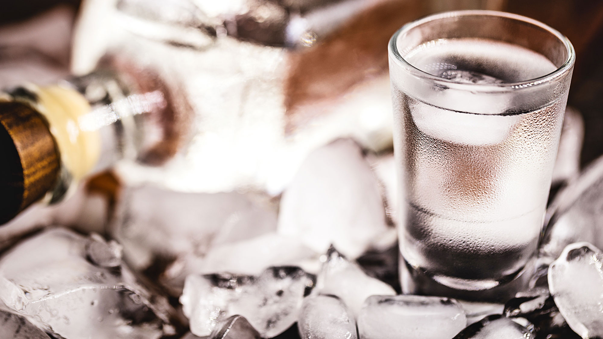 glass of vodka with ice and bottle of vodka