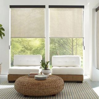 Solar Blinds against windows with a garden view.