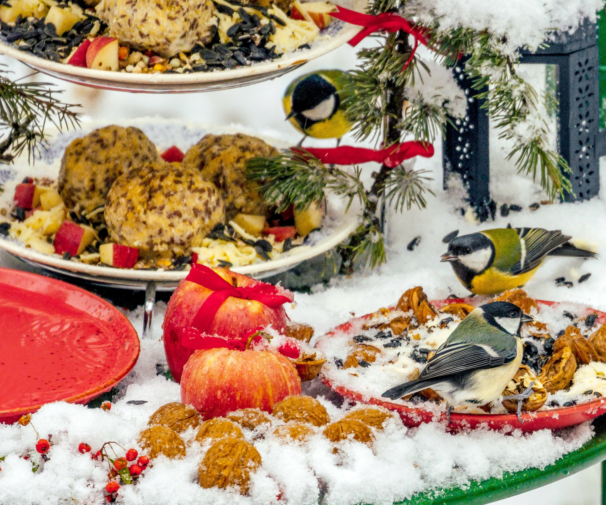 birds in winter feeding on cake stand style charcuterie feeder