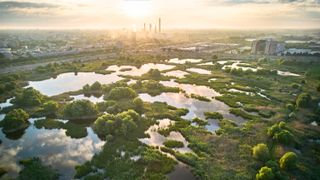 An aerial shot of the Văcărești Nature Park, a wetland area with ponds, green marshland, and trees, set against the hazy skyline of Bucharest, Romania, under a bright sun.