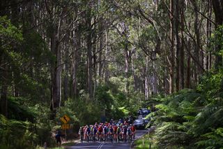 Women’s Surf Coast Classic confirmed as Cadel Evans Great Ocean road race lead-in for 2025