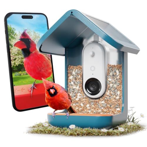 Birdbuddy Pro Solar Smart Bird Feeder With Camera 
