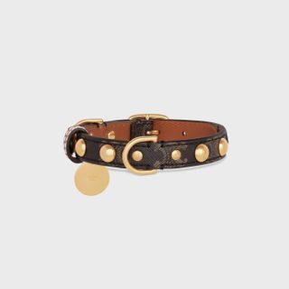 Celine, Small Thin Dog Collar in Triomphe Canvas & Calfskin with Studs