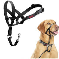 Halti Training Headcollar