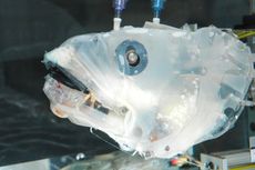 Researchers use "Bassbot" to study suction feeding