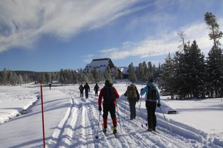 Cross country skiers head toward The Old Faithful Inn at Yellowstone National Park, Wyoming