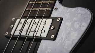 Close up of bass strings and a pickup