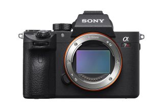 The A7R III boasts a 42.2MP back-illuminated sensor, which is higher than the 24.2MP and 12.2MP sensors inside the A7 III and A7S II respectively.