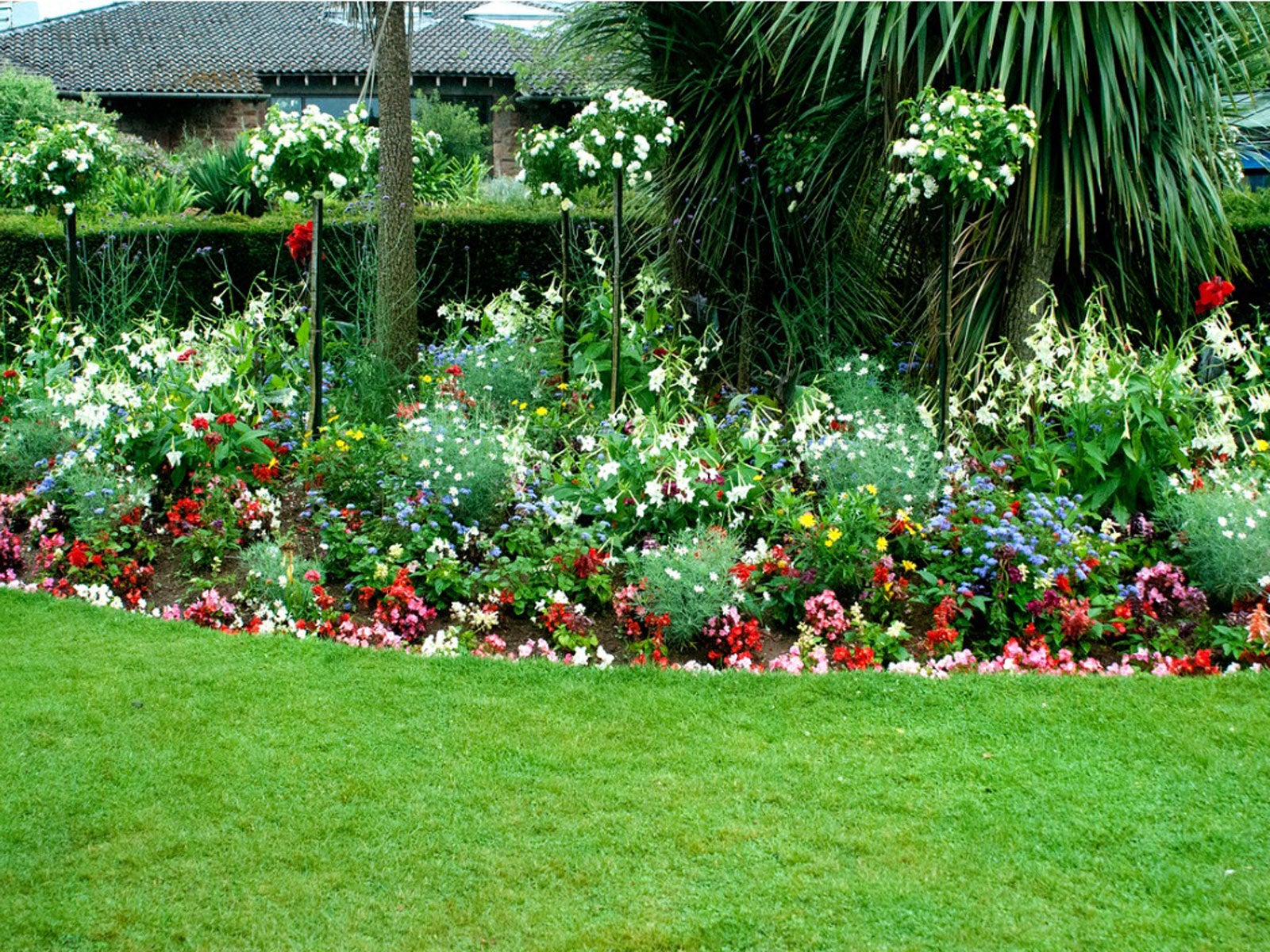 flower garden designs for full sun