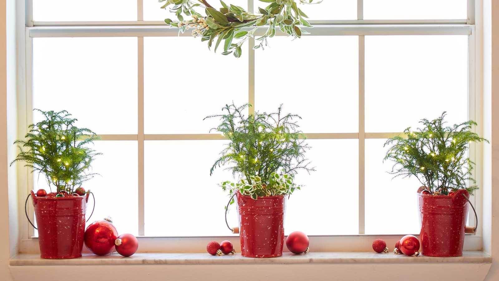 Christmas tree alternatives – beautiful plant swaps for your holiday decor