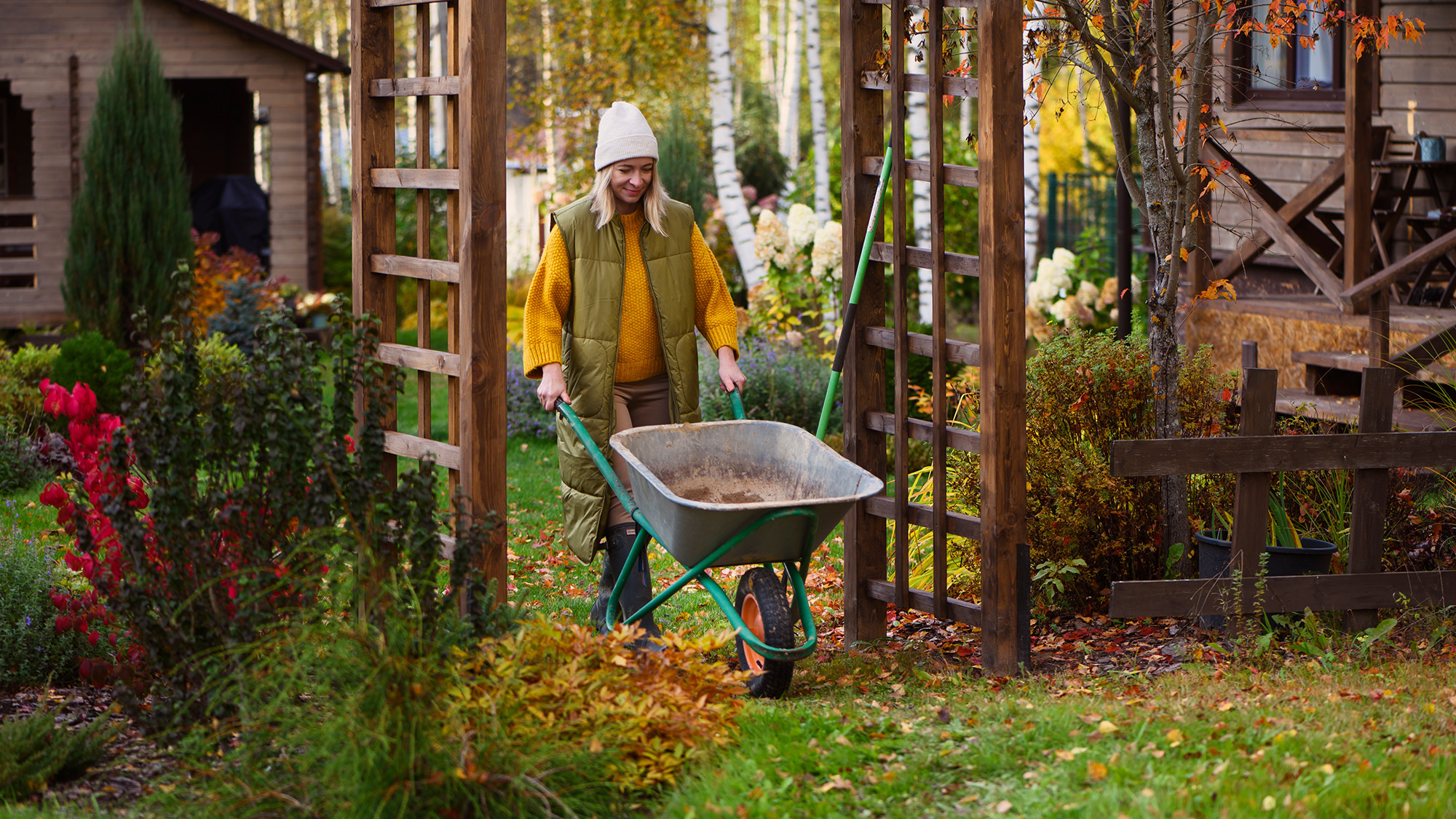 Autumn garden