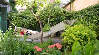 reasons you need a hammock: hammock in the garden