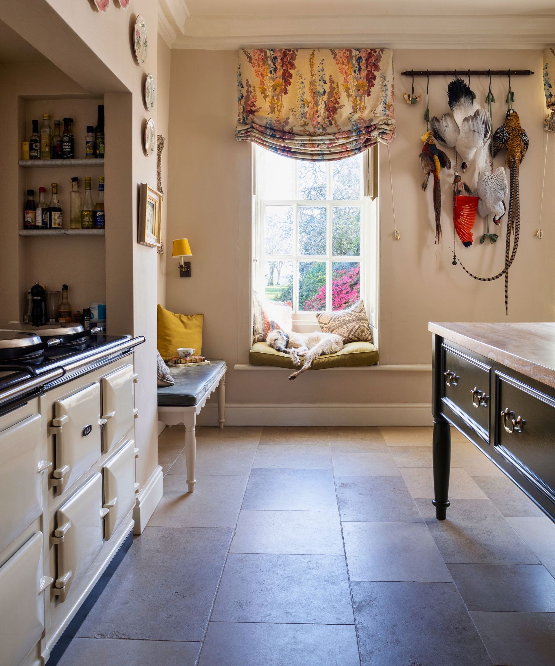 A dog sleeps in the kitchen window seat whilst a floral curtain hangs overhead