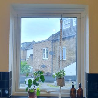 A kitchen window with a basil plant hung on a tension rod