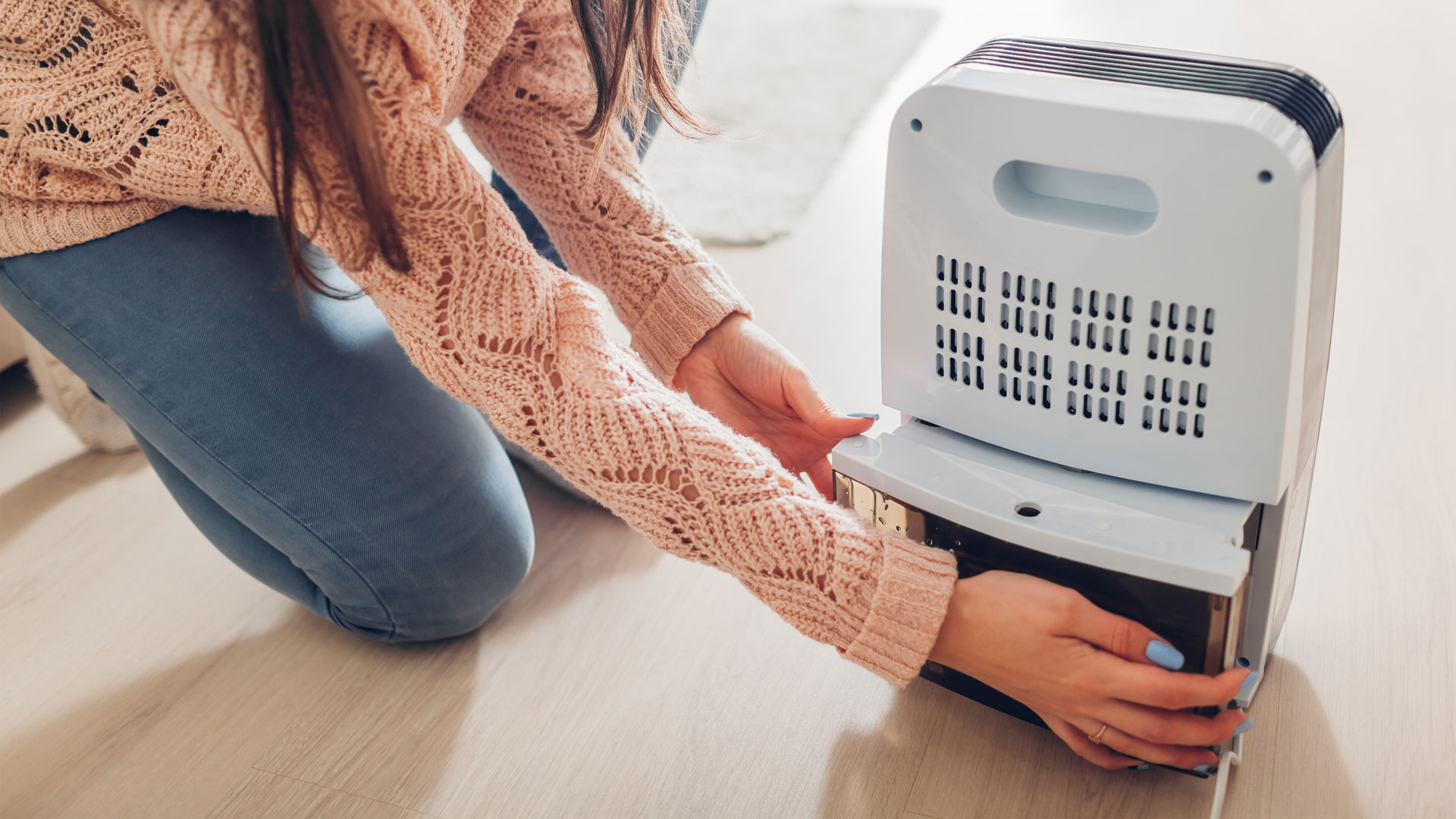 how-big-of-a-dehumidifier-do-i-need-live-science