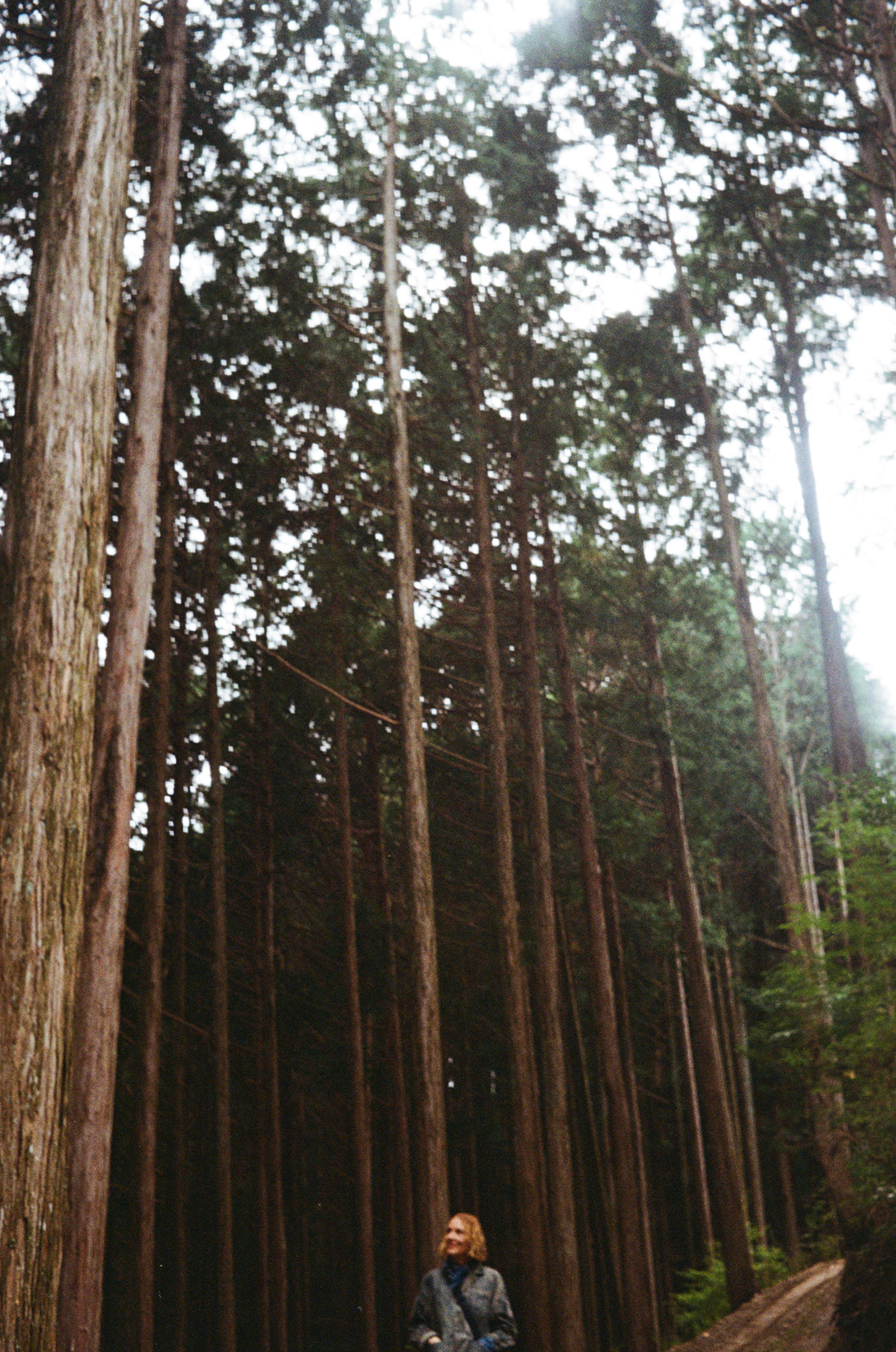 Faye Toogood in Cedarwood forest in Japan