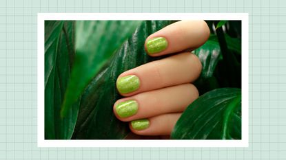 A hand with green nail polish, pictured in amongst green leaves/ in a green template