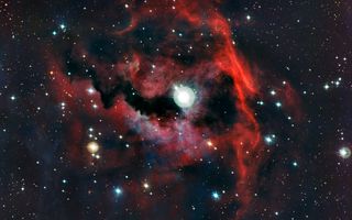 Close-up view of the head of the Seagull Nebula 1920