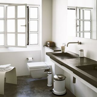 master bathroom with white wall and basin with commode