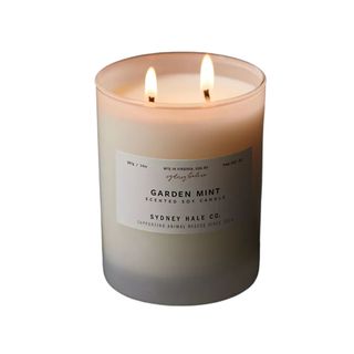 2 wick lit garden mint candle