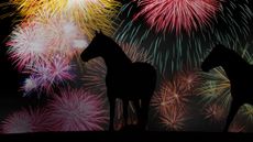 fireworks1_alamy-1.jpg