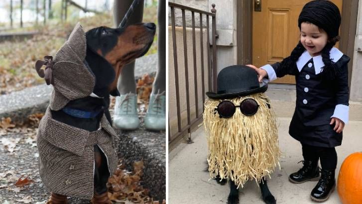 Tompkins Square Halloween dog parade