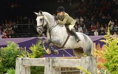 Sarh-Lears-HorseNo558_HOYS14pn_42447.jpg