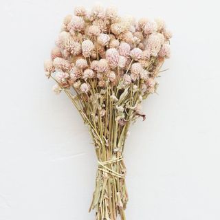 Dried pink flowers