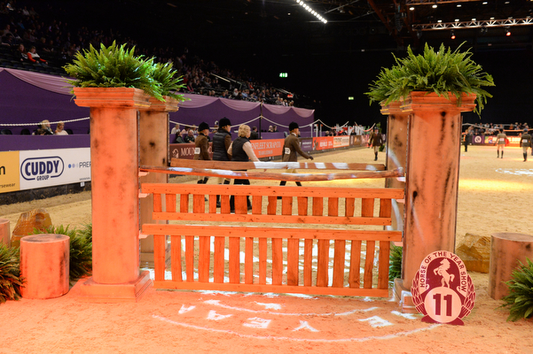 Fence11_HOYSPN15_48886