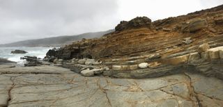 Sonoma Coastline California