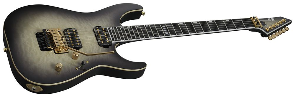 ESP E-II electric guitar
