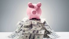 Piggy bank on big pile of dollars 