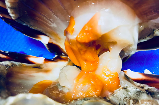 Scallops and Vouvray