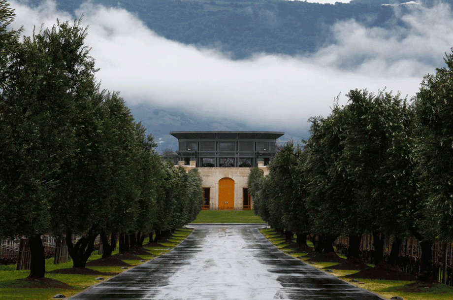 Opus One vertical, Winery, Napa Valley, California