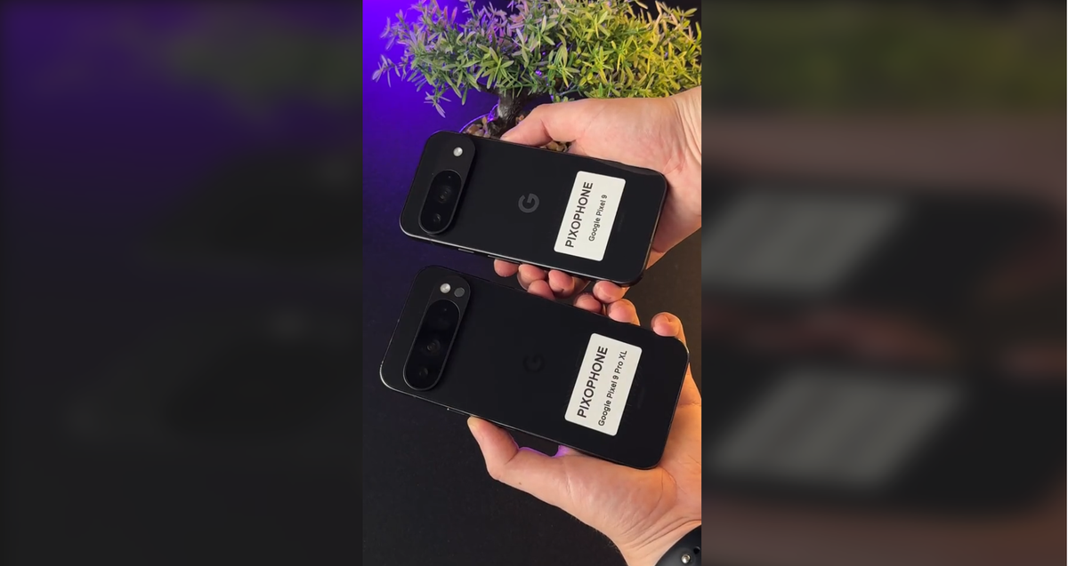 Leaked image of the back panel of the PIxel 9 and Pixel 9 Pro XL phones