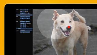 A laptop screen showing a dog photo being edited using DragGAN tools
