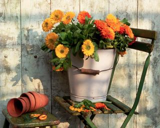 yellow and orange flowers in a bucket