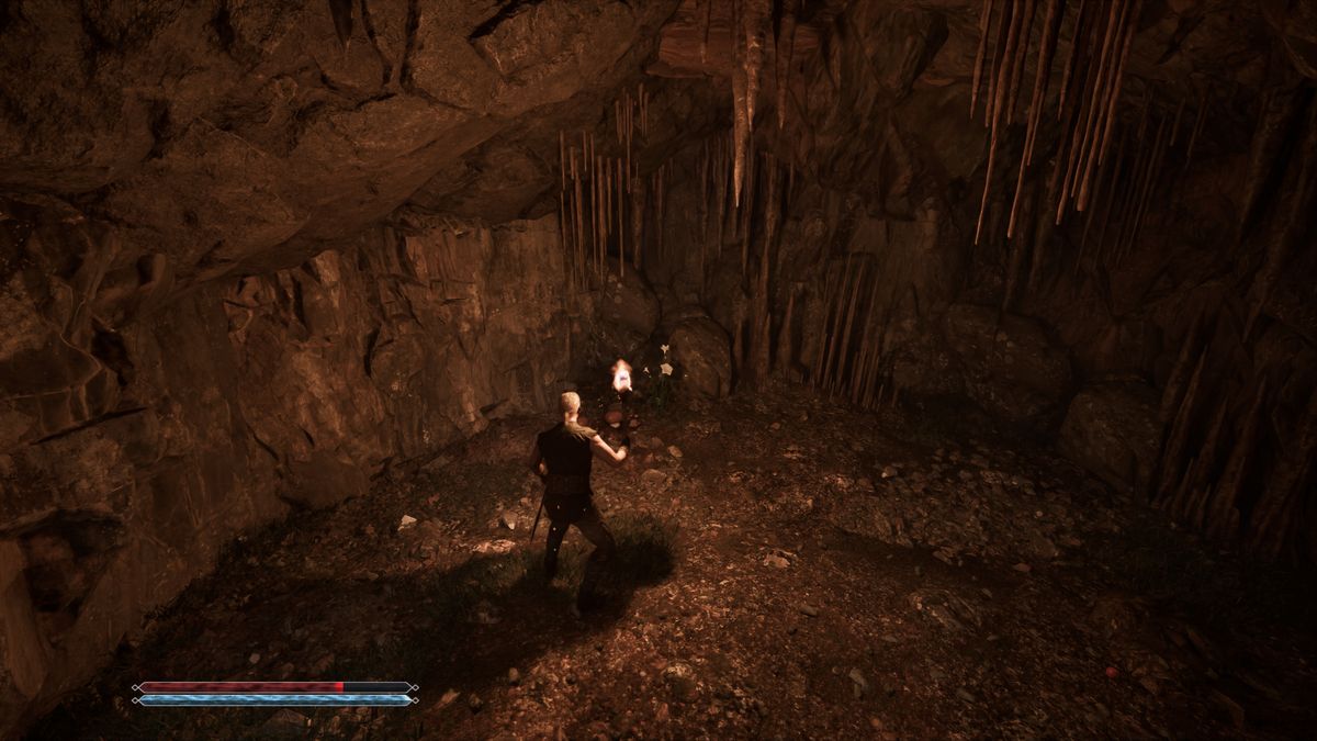 Gothic Remake The Forgotten Recipe: A player looking at solanaceae inside a dark cave, holding a torch for light.