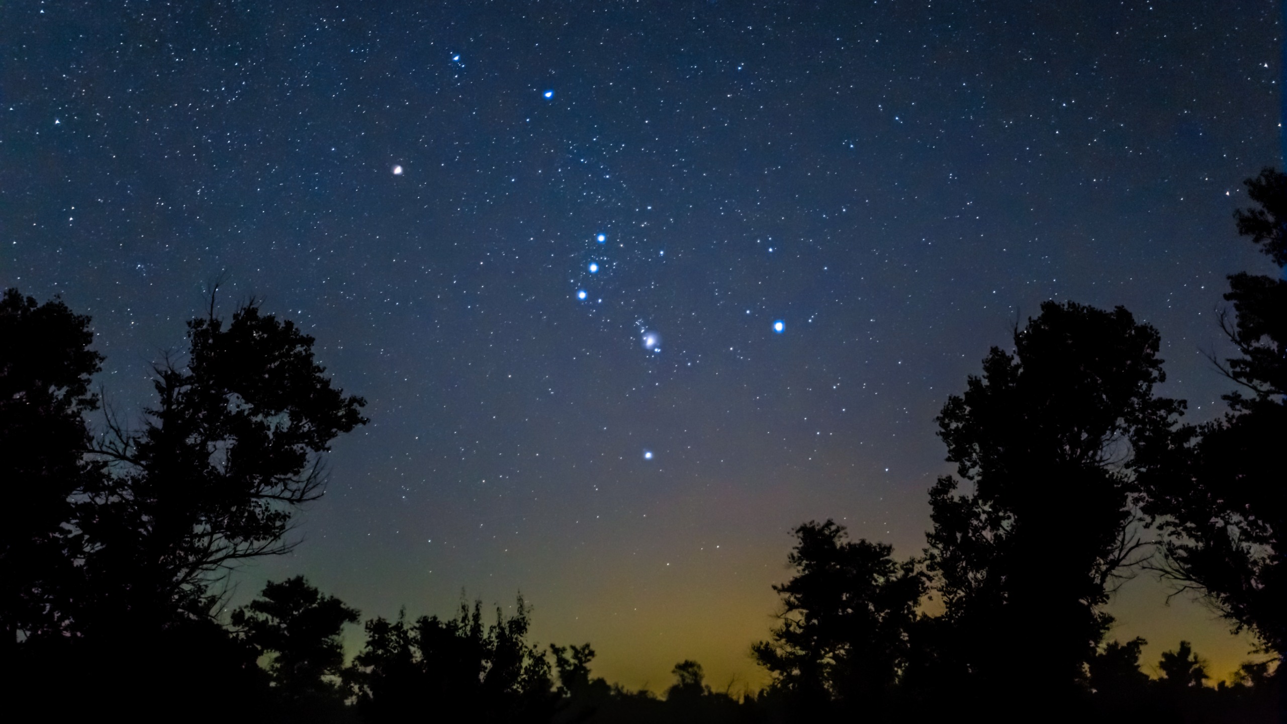 closeup of Orion constellation on night starry sky above forest silhouette