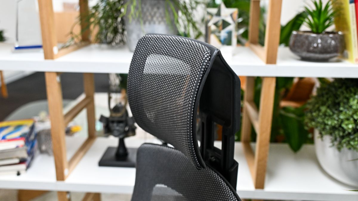 Desky Pro Plus Ergonomic Chair curved headrest
