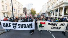Protesters in London demand an end to UAE involvement in the civil war in Sudan