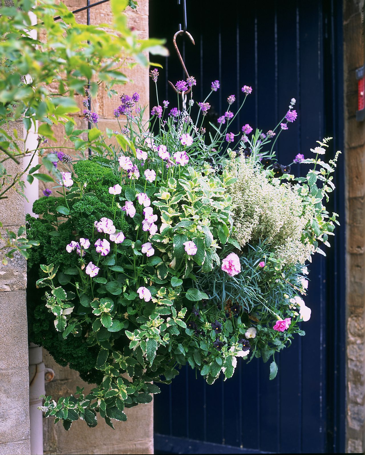 Planting in a hanging basket how to plant a hanging basket Homes