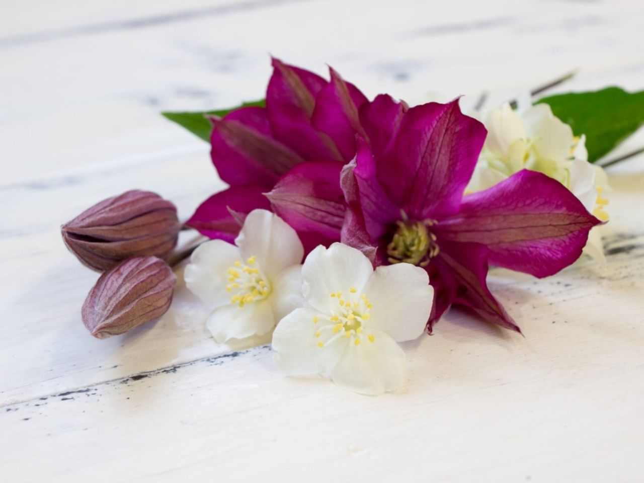 Jasmine With Companion Plants