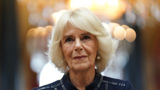 32 Interesting fact about Queen Camilla - Numerous members of her family have creative careers
