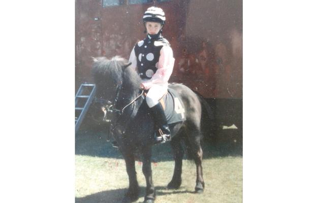 Shetland pony