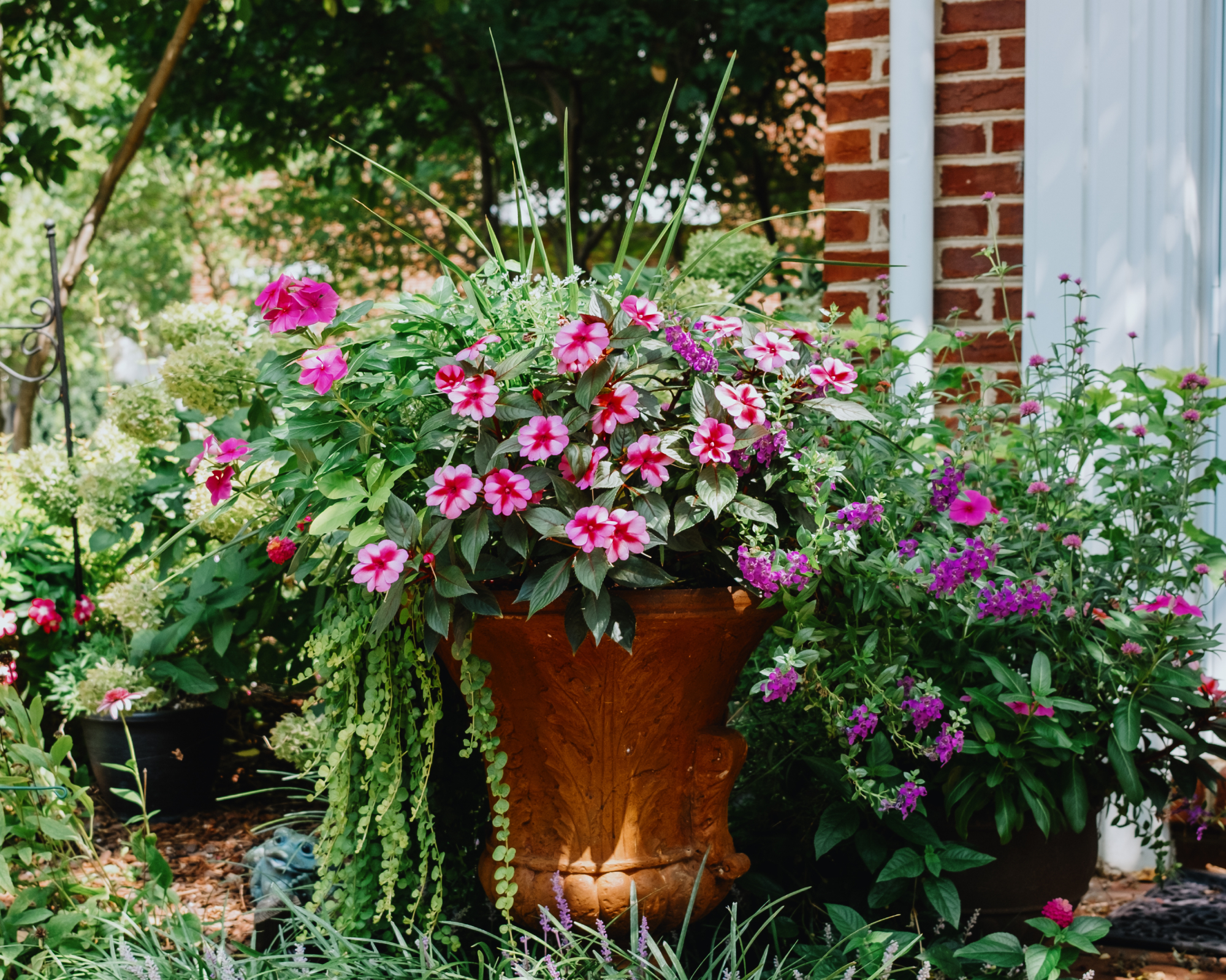 potted impatiens in front of house