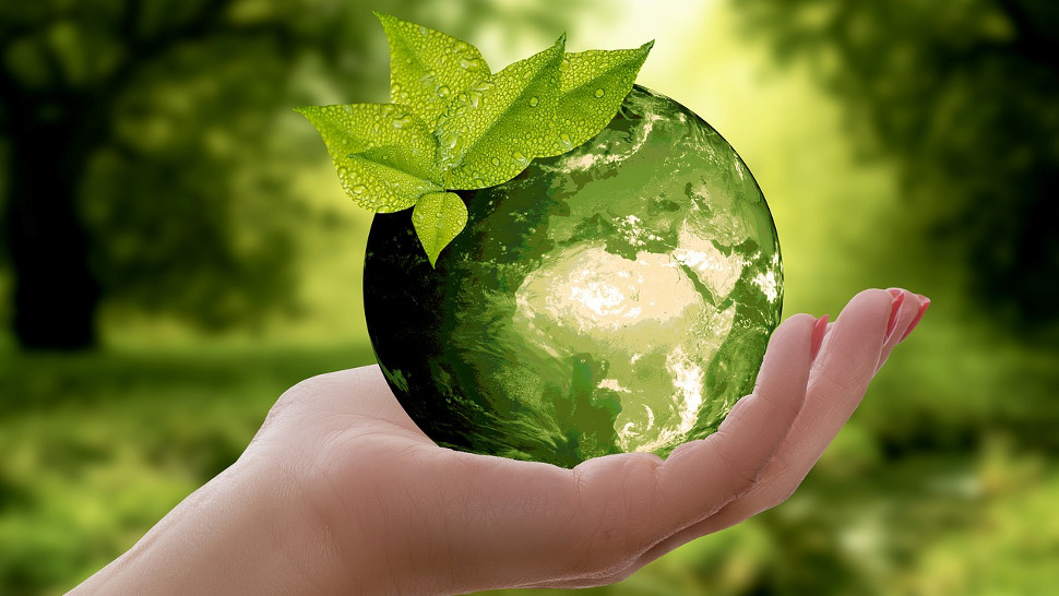 Compliance to competitive edge: how sustainability drives business value