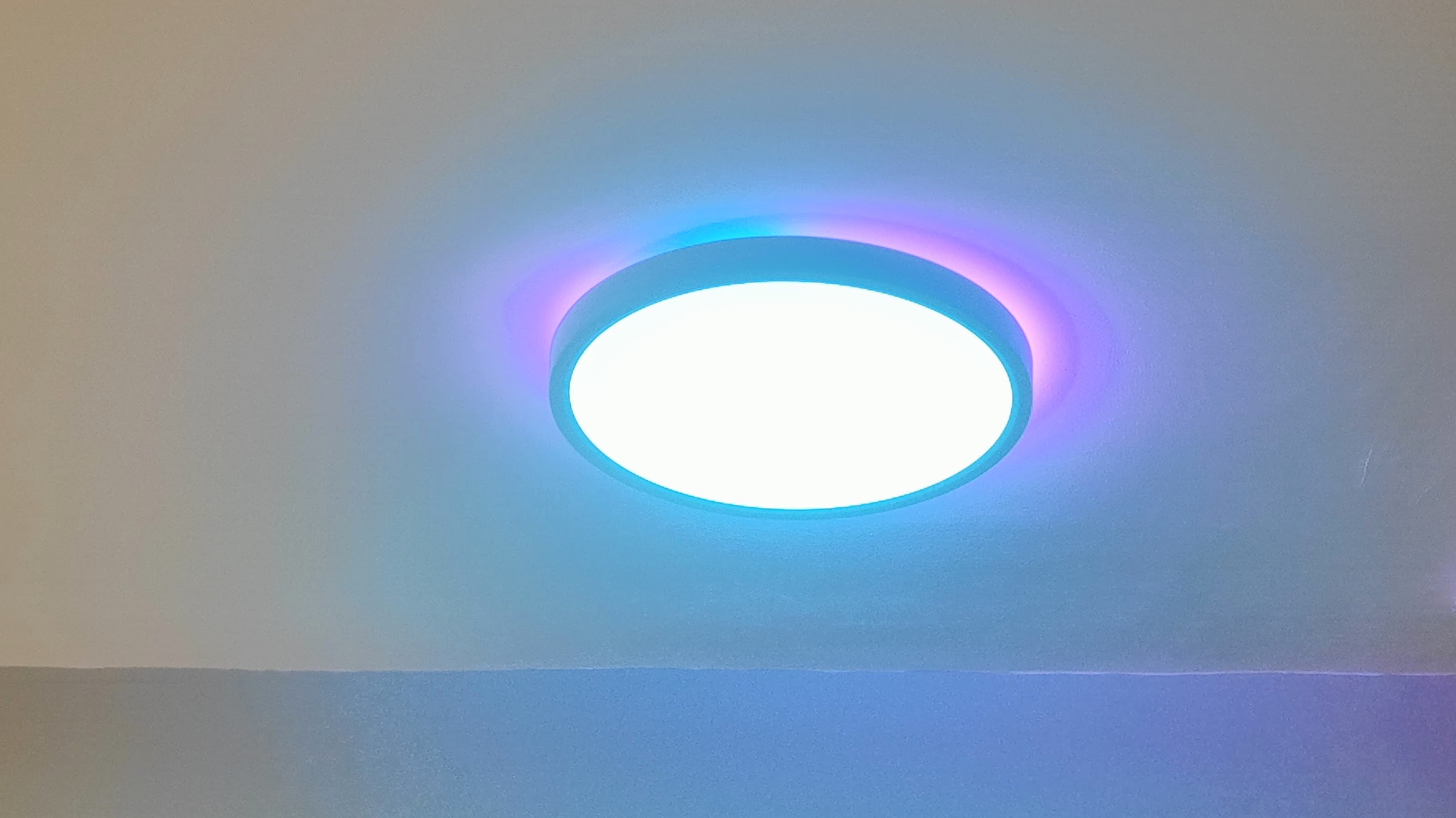 Govee Ceiling Light