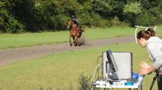BRS6-racehorse-runway-cropped-copy.jpg
